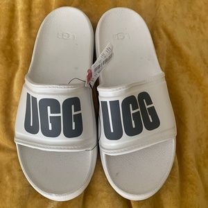 Ugg Slides